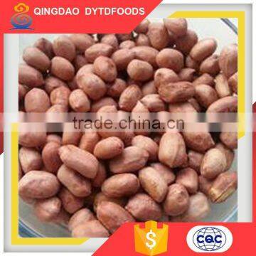 Top Quality Dry Roasted Red Skin Peanuts Salted photo-3