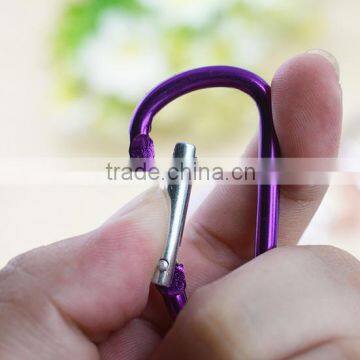 Top quality Aluminum Carabiner keychain with lanyard and keyring/Key Hook