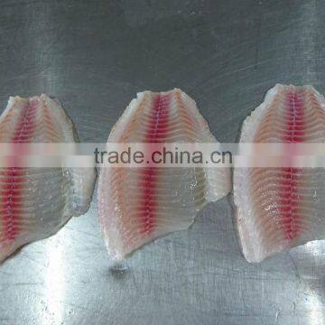 Frozen Tilapia Fillet