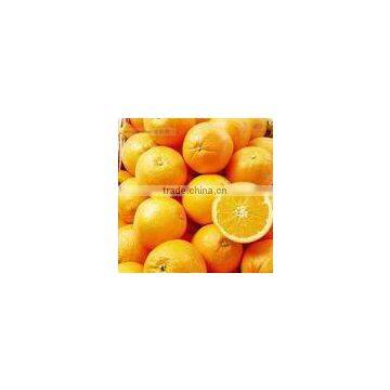 fresh navel orange