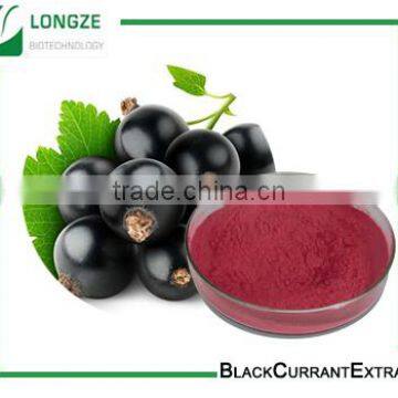 Spray-dried Black Currant Fruit Powder Black Currant Extract with anthocyanidins 25% 4;1,10:1 and 20:1