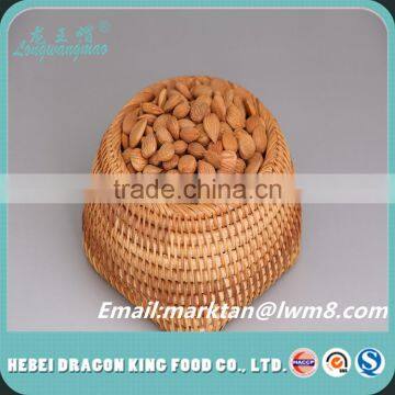 The new crop of 2016 Organic bitter apricot kernels made in china.