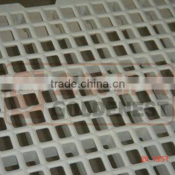 *high Quality Plastic Slat Poultry Flooring for Chicken House photo-6