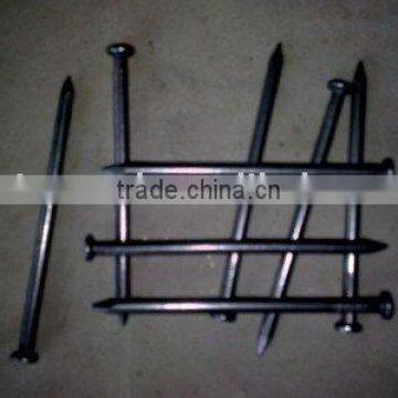 common nail
