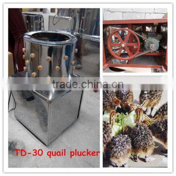 Equipment Poultry Algeria /poultry Farming Equipment