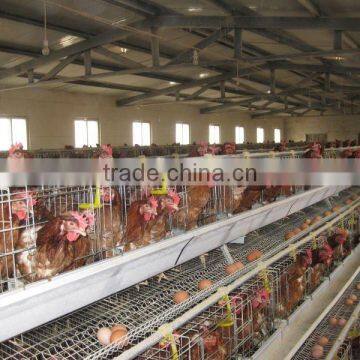 Design Egg Layer Chicken Cage From Factory