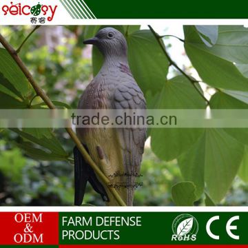 Environmental protection easy to take PE material fancy pigeon