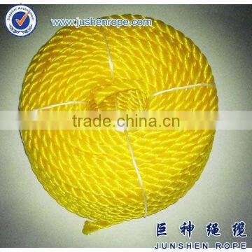 PP Rope/PP Danline Yellow Rope