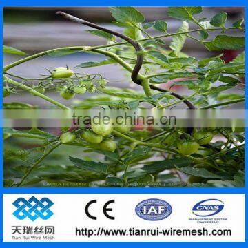 tomato spiral plant stake wire