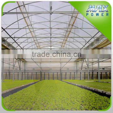 galvanzied structure polyethylene greenhouses low prices