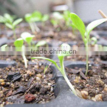 Cheaper Top Quality Best Price Plant Seed Starter Trays photo-4