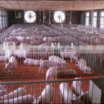 250mm PE Film Covered Single-Span Greenhouse For Cow/Pig Growing photo-3