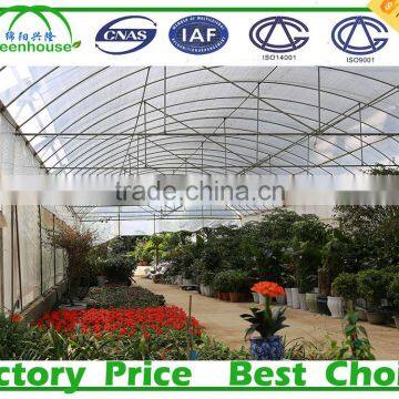 Ganvanized steel frame plastic film commercial greenhouse