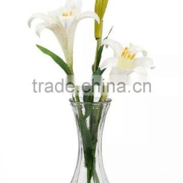 Glass Flower Vase(HLTH-007 ) photo-4
