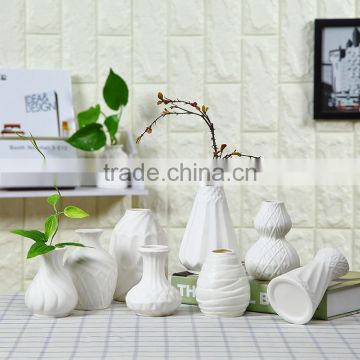 Various types home decoration hydroponics white flower ceramic vase