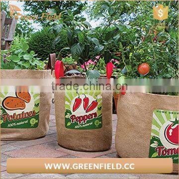 Green Field Jute planter bag, jute vegetable garden planting jute planter bag