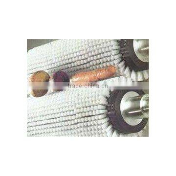 fruits and vegetable cleaning brush roller