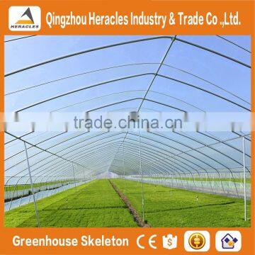 Heracles Trade Assurance Vegetable Seeds Greenhouse photo-3