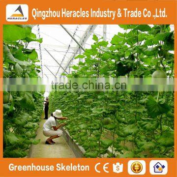 Heracles Trade Assurance Agricultural Greenhouse for Tomato photo-4