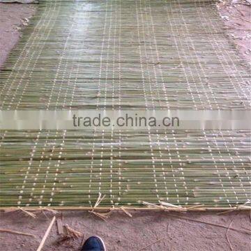 High quality printed bamboo mat for Israel /green bamboo mat