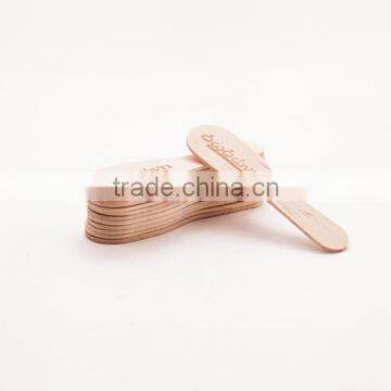 HYWOODSTICK Biodegradable Wooden Ice Cream Spoon