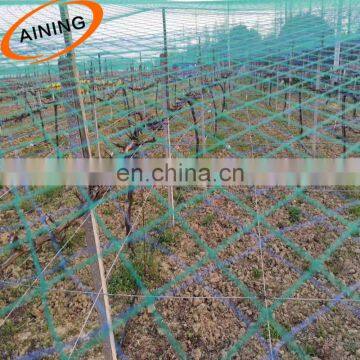 HDPE black plastic mesh netting with UV