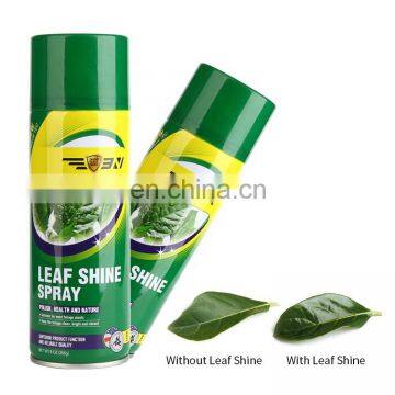 High Effective Leaves Shine Spray for Green Plants Blade Care, High Quality Leaf Polish Aerosol for Plants Protection & Beauty