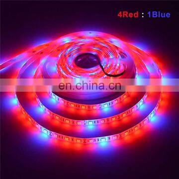 Светодиодные ленты для выращивания растений 5050 SMD LED Plant Strips Light длиной 16,4 фута для аквариума, теплицы и гидропоники photo-3