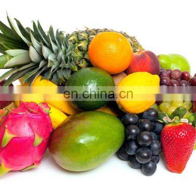Industrial Brush Roller Vegetable Washing Ginger Washer Apple Fruit Washing Machine photo-5