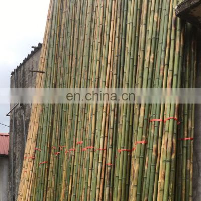 Cheapest Price High Quality Natural Raw Bamboo for handmade product/ decor furniture from distributor in Viet Nam