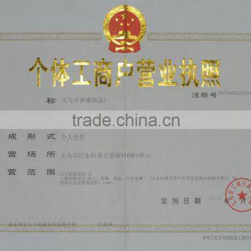 Business License for an Enterprise Legal Person