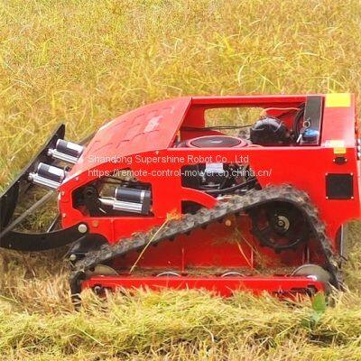 Customized Remote control slope mower from China