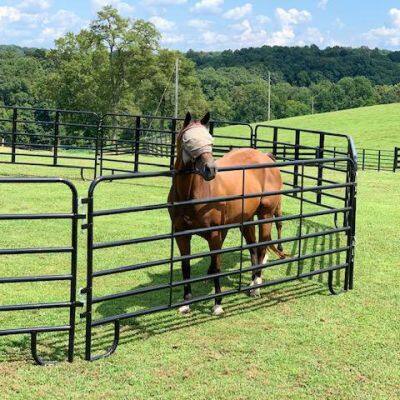 Cheap Galvanized Livestock Yard Horse Fence Corral Panel Horse Panel