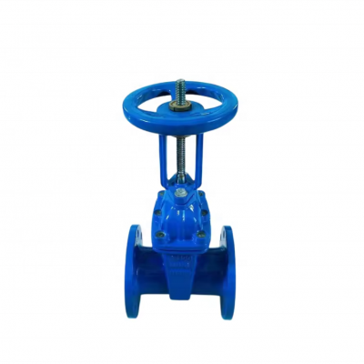 Z41X-16Q/Z41X-10Q PN10 PN16 DN50 DN100 Water Seal Gate Valve Rising Stem Gate Valve photo-4