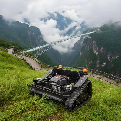 Remote Control Crawler Mulcher 9.2kW Loncin 452cc Engine 800mm Cutting Width 60° Slope CE EPA Factory Direct Sales