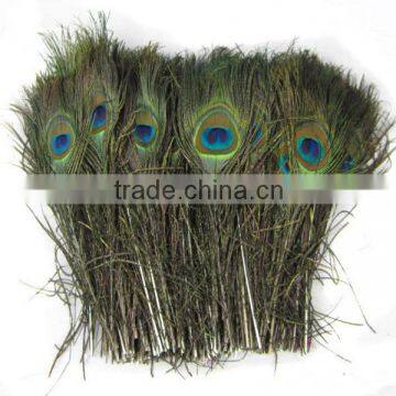 Wholesale peacock feather/ ostrich feather/ duck feather/ goose feather