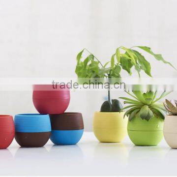 Small Plastic Flower Planter Factory Direct