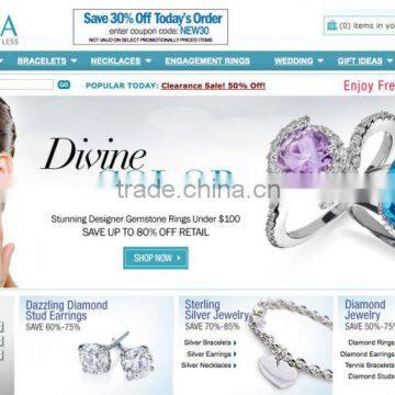flash website, flash design, high quality flash design