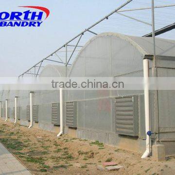 Multi-Span Agricultural Plastic Price Greenhouses Growing Vegetable