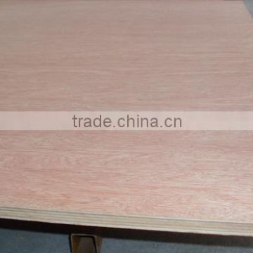 hot sale plywood for furniture or indoor using in vietnam