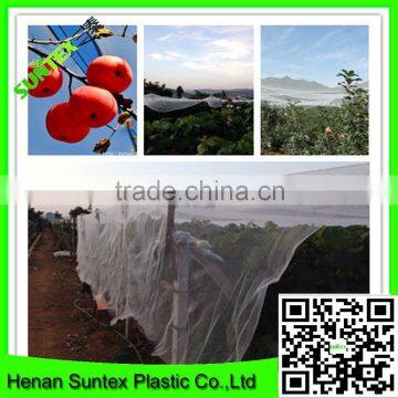 High quality orchard hail proof netting/plastic apple tree anti hail net