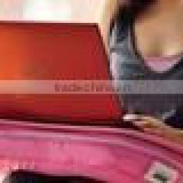 lap desk with cushion bagLZ501-44