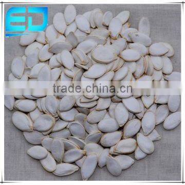 Dried Edible Snow White Pumpkin Seeds, White Pumpkin Seeds Price