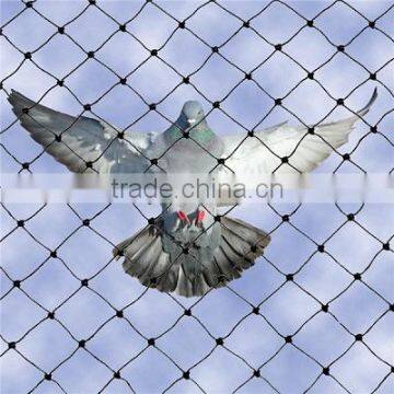 100%PP UV Stabilised Anti Bird Net for Manufacturing