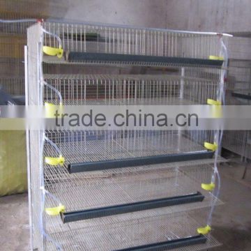 Layer quail cage for sale & quail wire mesh cage