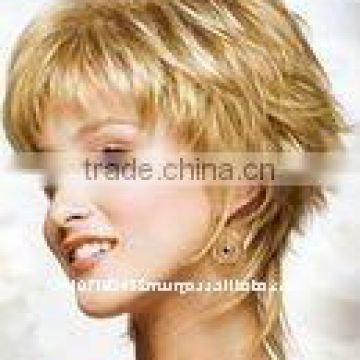 indian remy human hair wig