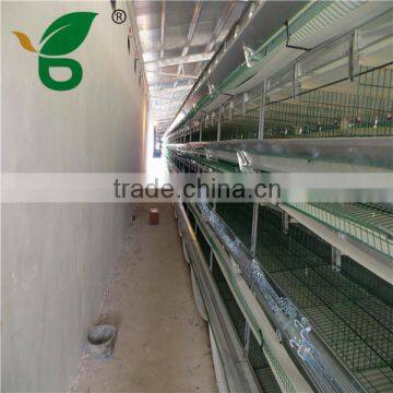 egg laying battery cage for chicken farm