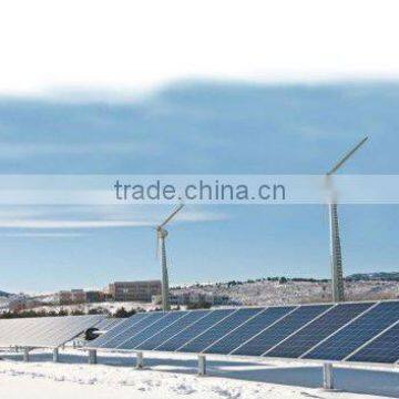 Solar Panel & Wind Turbine power System 1000W