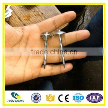 Anping Roofing Nail 3'' Manufacturer photo-6