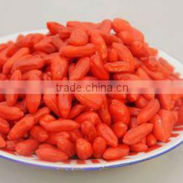 Fruit powder goji powder SD fruit powder